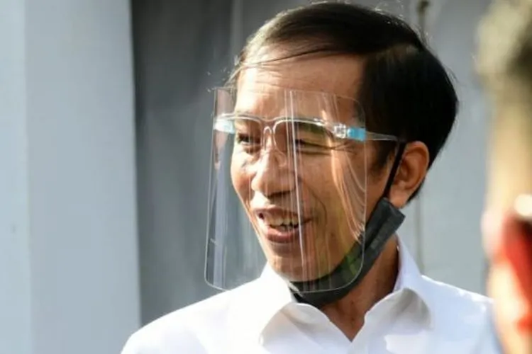 Presdien Joko Widodo/ dok
