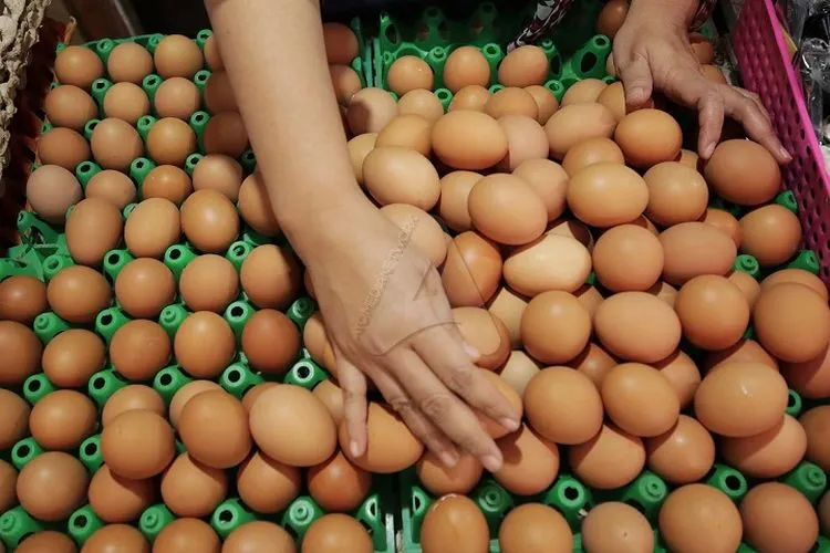 Telur ayam. (Kavin Faza/Ayobandung.com)