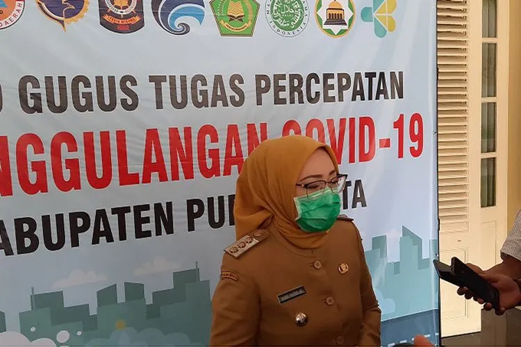 Bupati Purwakarta, Anne Ratna Mustika