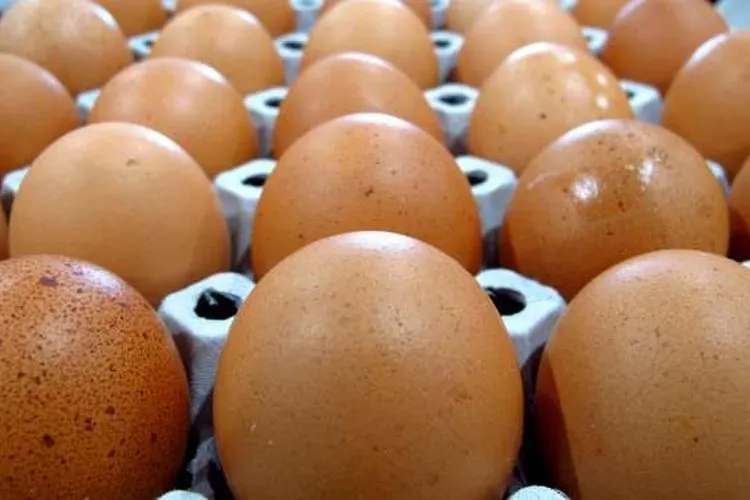 Sebagai ilustrasi telur. shutterstock