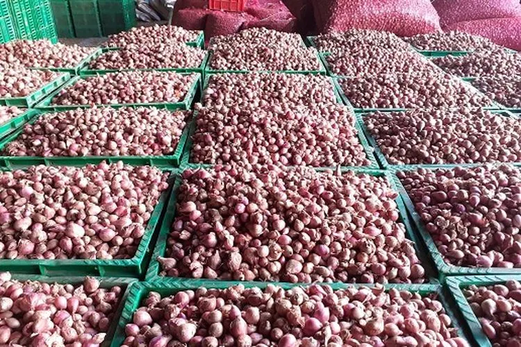 Bawang merah asal Pati, Jawa Tengah (Kementan RI)