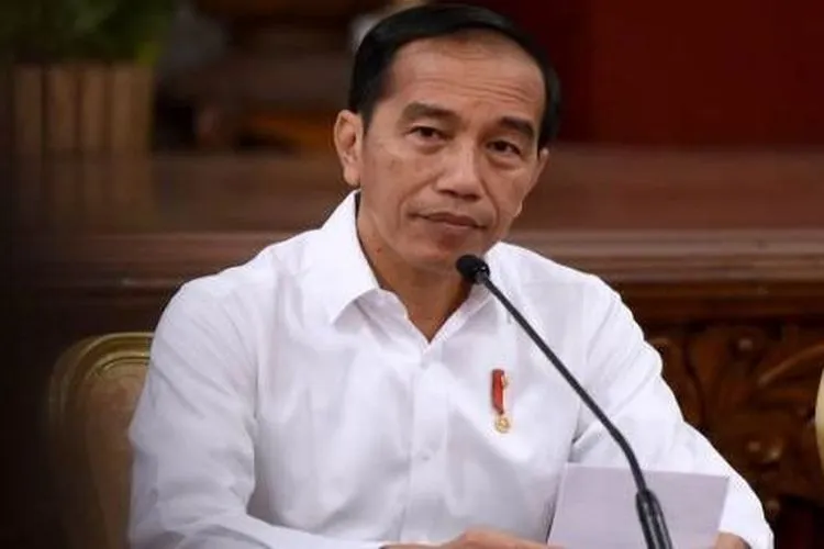 Presiden Jokowi. (BPMI Setpres)