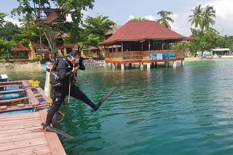 Corona Diving Club