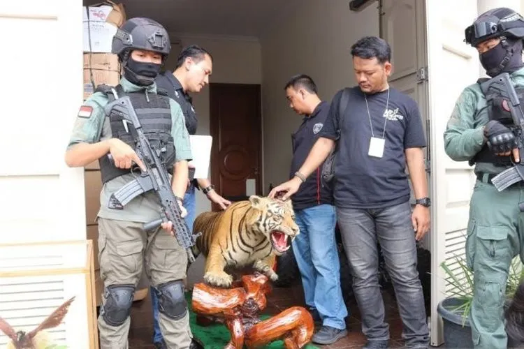 Anggota Satreskrim Polres Jaksel menyita hewan langka yang diawetkan dari rumah tersangka AM (Antara/Laily Rahmawaty)