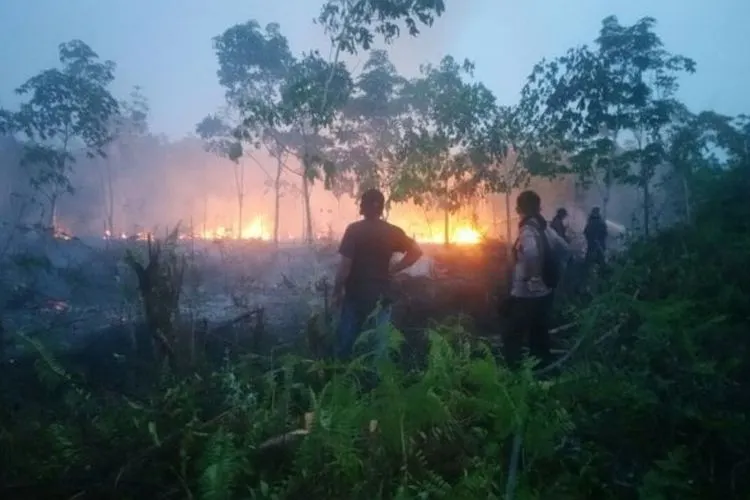 Kebakaran Hutan dan Lahan/Fin.co.id