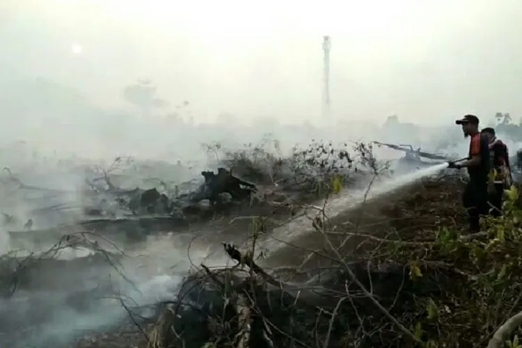 Upaya pemadaman kebakaran hutan di Pekanbaru/Kompas