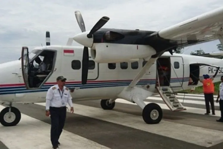 Ilustrasi Pesawat Twin Otter/Antara