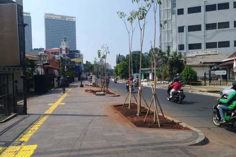 Pohon di Cikini, Jakarta Pusat diremajakan/PPID DKI Jakarta
