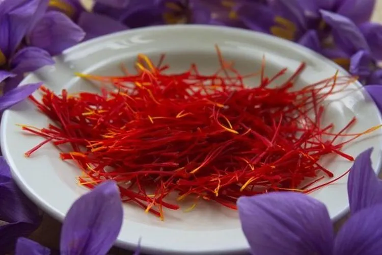 Saffron, rempah termahal di dunia. (Pixabay/Xtendo)