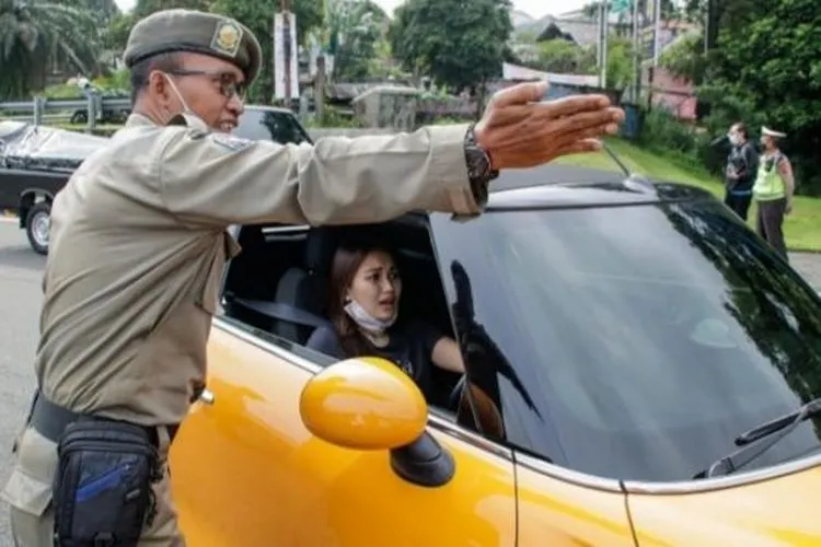 Ayu Ting-Ting Kepergok Langgar Ganjil-Genap Bogor, Mobil Diputar Balikan (Satpol PP)