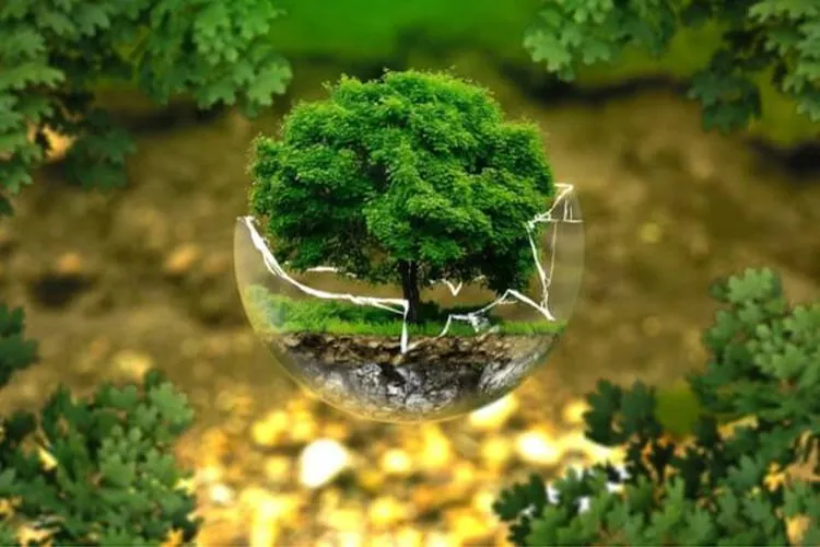 Ilustrasi