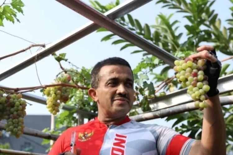 Wali Kota Anwar memetik anggur di RW 06 Kelurahan Malaka Sari/timur.jakarta.go.id