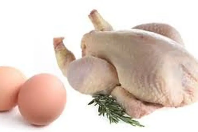 Ilustrasi daging ayam dan telur/Jurnalmedia.com