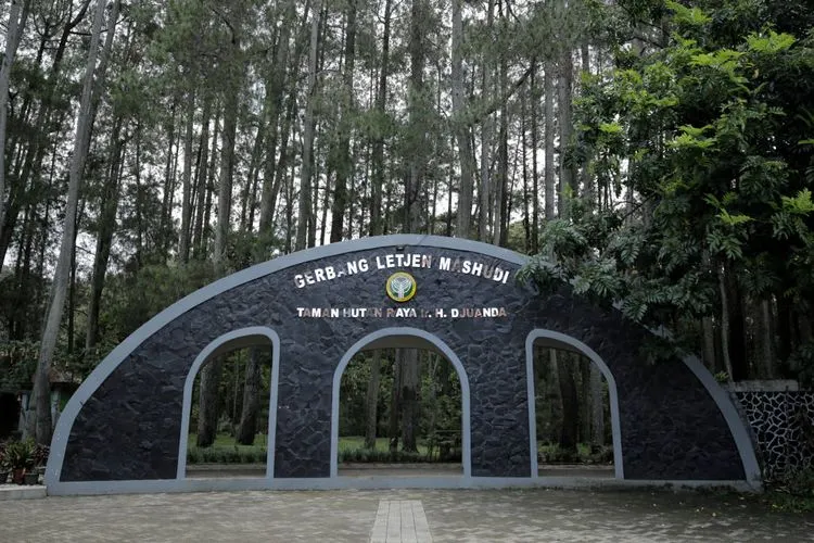 Tahura Juanda (Ayobandung.com/Kavin Faza)