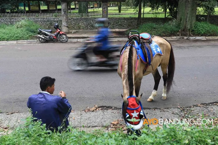 [ilustrasi] Seorang penyewa jasa wisata kuda tunggang menunggu pelanggan di Jalan Ganesha, Kota Bandung, Selasa (26/5/2020). Selama pandemi ini, pendapatannya menurun drastis. (Ayobandung.com/Irfan Al-Faritsi)