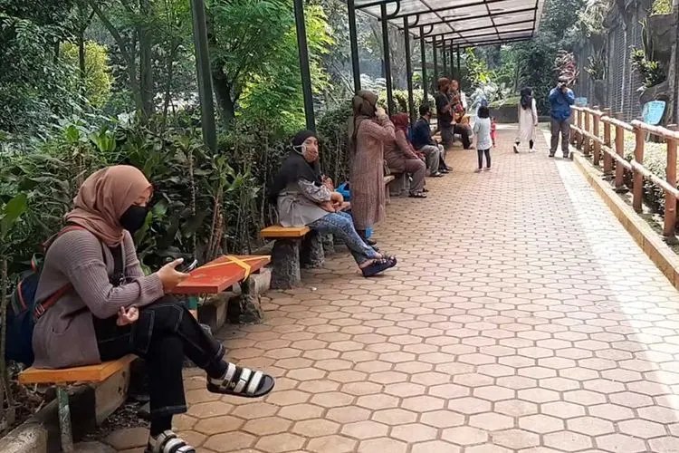 Bandung Zoo kembali dibuka dengan menerapkan protokol kesehatan. (dok)