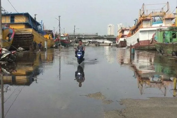 Banjir rob mulai menggenangi pesisir Jakarta, tepatnya di wilayah Penjaringan, kawasan Muara Angke dan Muara Baru (Jumat, 10/1/2020). (SINDOnews)