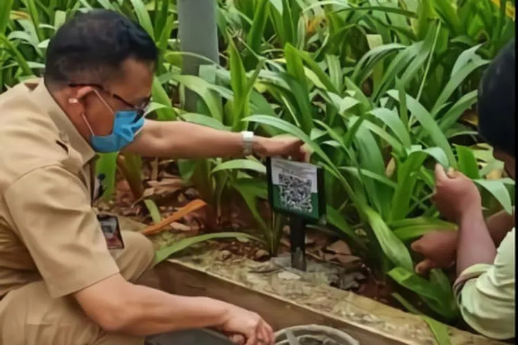 pemasangan barcode data pada tanaman di Sudirman-Thamrin oleh petugas / beritajakarta.id