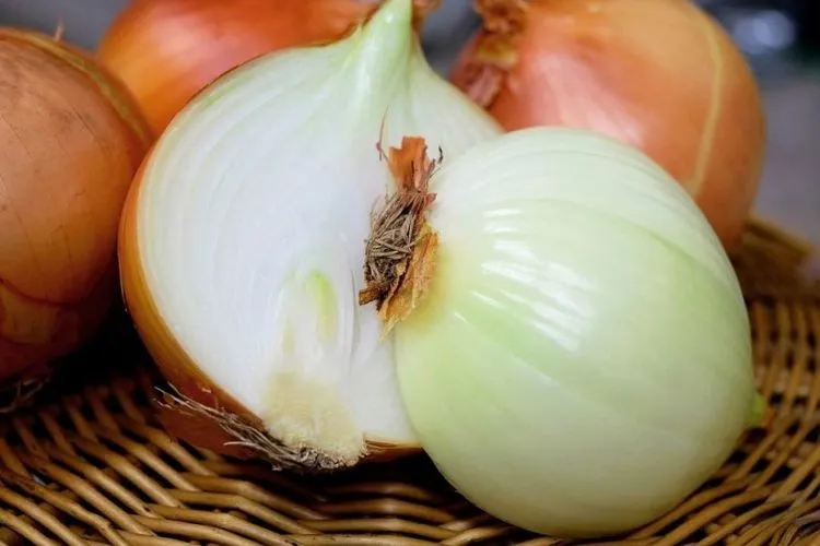 Harga Bawang Bombay di Pasar Senen Rp 150 Ribu. Foto: pixabay