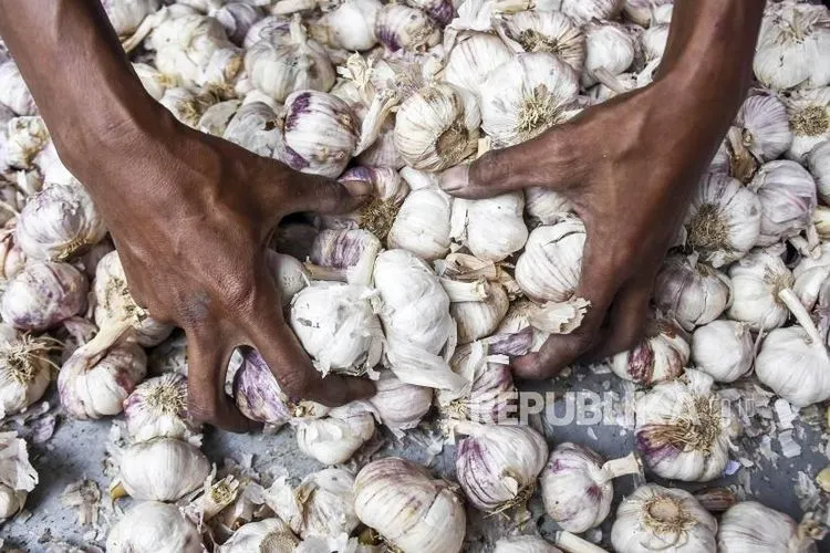 Bawang putih (ilustrasi)  Foto: Republika/Abdan Syakura