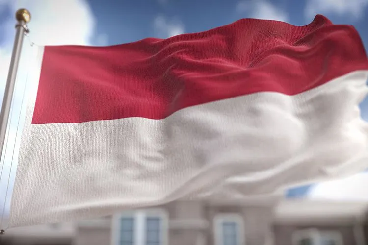 Ilustrasi merah putih