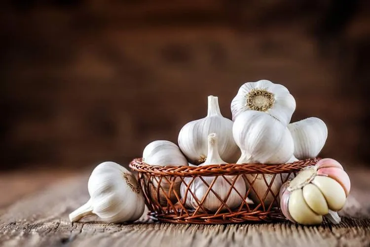 Bawang putih (hellosehat)