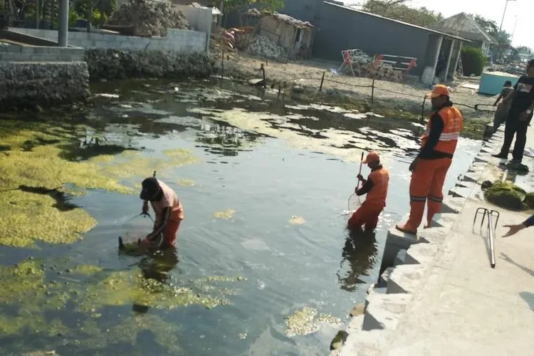 Petugas membersihkan sampah di pesisir pantai selatan Pulau Tidung/pulauseribu.jakarta.go.id