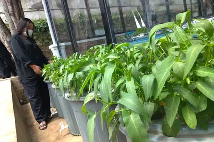 Riani Soedarmo mengajak ojol budidaya lele dan kangkung. (Ayobandung/Tri Junari)