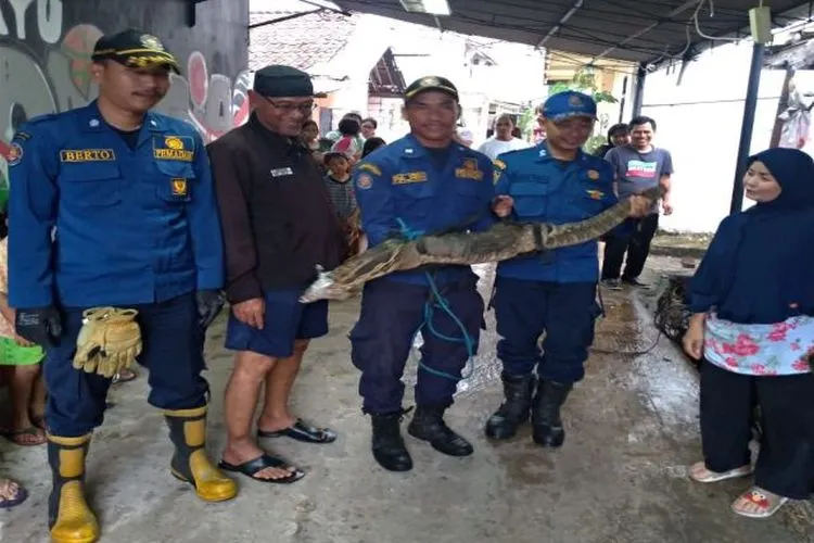 Petugas Pemadam Kebakaran (Damkar) Sektor IX Kecamatan Pasar Minggu, Jakarta Selatan berhasil mengevakuasi seekor biawak dari rumah warga di Jalan Raya Kebagusan RT 5/1.  (selatan.jakarta.go.id)