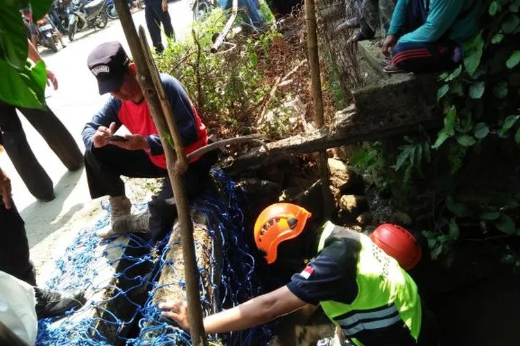 Warga bersama BPBD mencari buaya yang belum ditemukan