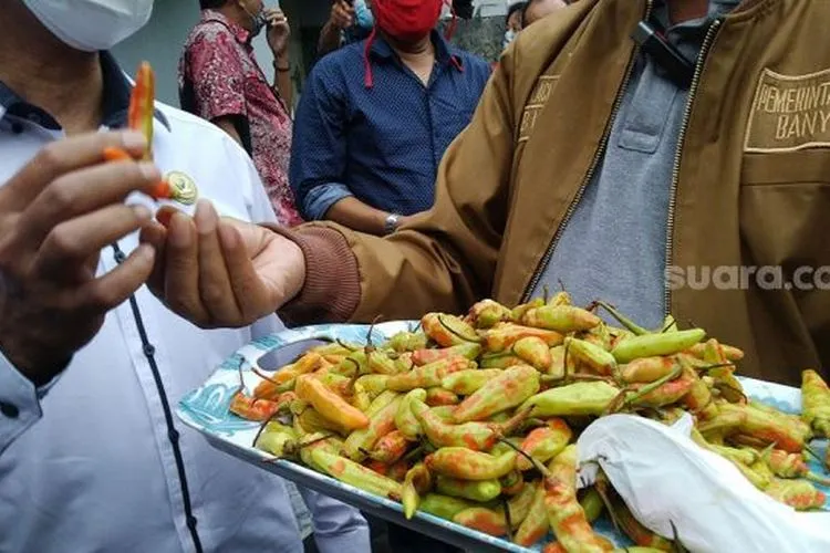 Cabai rawit yang diberi pewarna merah ditunjukkan Bupati Banyumas di Pendopo Supanji Purwokerto, Rabu (30/12/2020). (Suara.com/Anang Firmansyah)