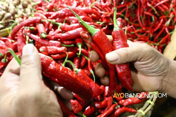 Cabai Rawit Merah (AyoBandung)