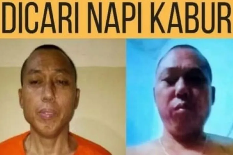 Begini wajah napi Cai Changpan alias Cai Ji Fan yang kabur dari Lapas Klas 1 Tangerang. [Ist]