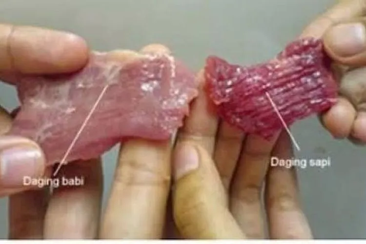 Ilustrasi perbandingan warna daging sapi dengan daging babi (Kompas.com)