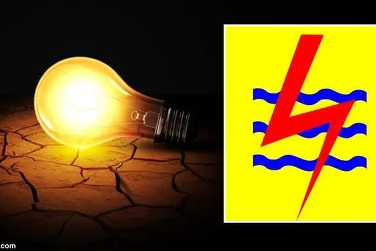 PLN