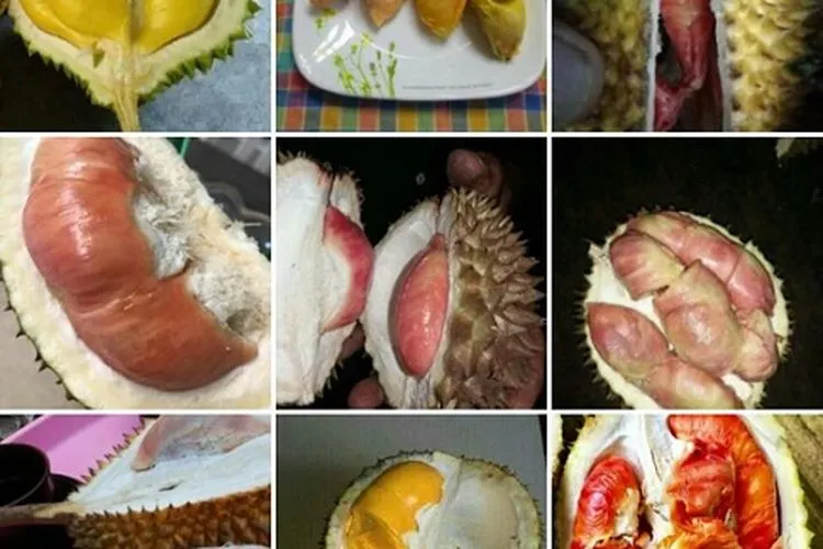 durian Banyuwangi