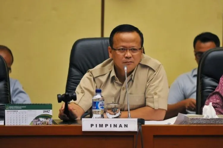 Wakil Ketua Umum Gerindra Edhy Prabowo. (DPR)