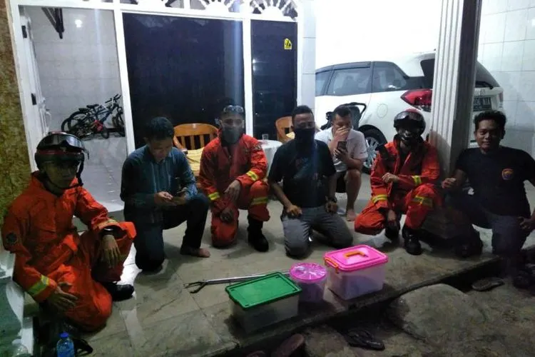 ilustrasi. Petugas Damkar mengevakuasi temuan ular yang dilaporkan warga/ dok Damkar Jakarta Barat