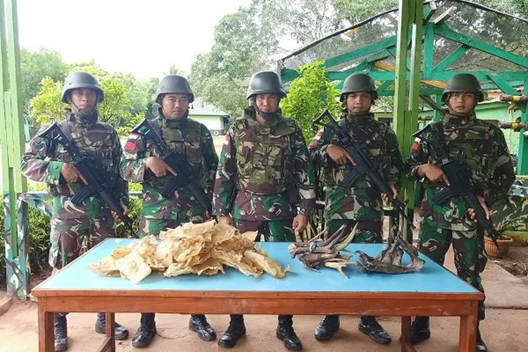 Satgas Pamtas RI-PNG di depan barang bukti penyeludupan gelembung ikan kakap putih dan tanduk rusa/Puspen TNI