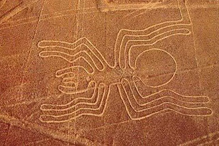 Geolif Nazca berbentuk laba-laba/Net