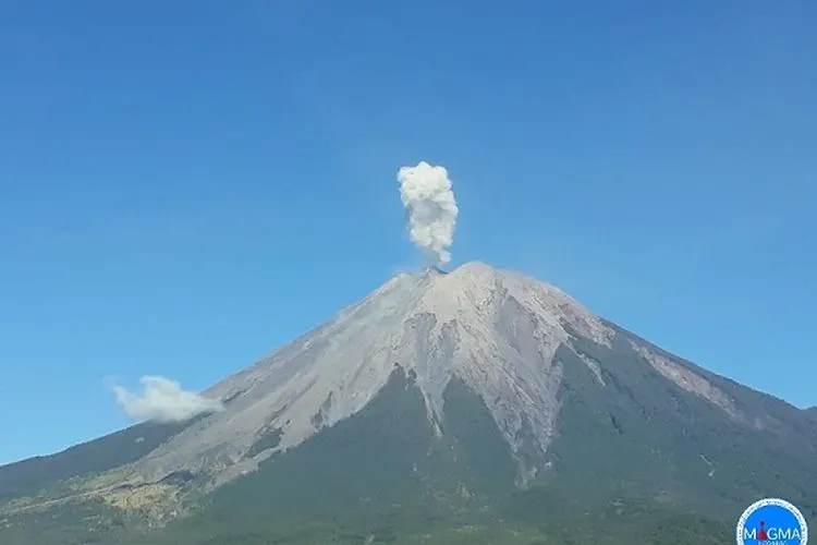 Gunung Semeru pada Januari 2020/magma.esdm.go.id