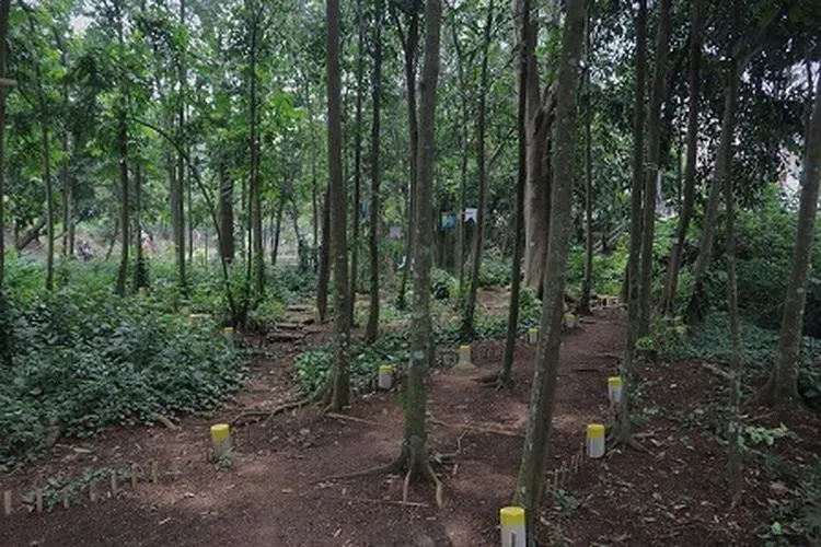 Hutan Kampung di Kelurahan Cilendek Barat, Kecamatan Bogor Barat, yang disulap warga menjadi taman seluas 1,4 hektare. (dok)