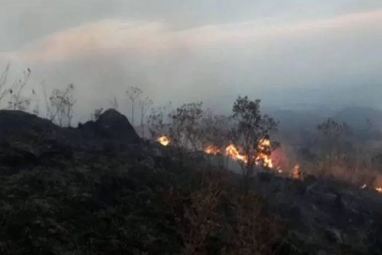 Kawasan hutan di Taman Nasional Gunung Ciremai Jawa Barat terbakar. (Foto: Dok. iNews.id)