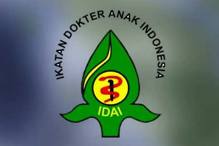 Logo IDAI