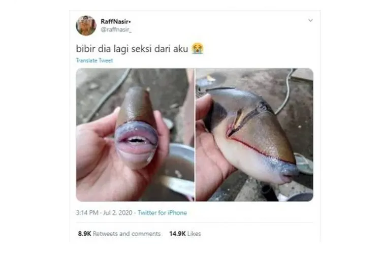 Ikan aneh bergigi manusia. [Twitter]