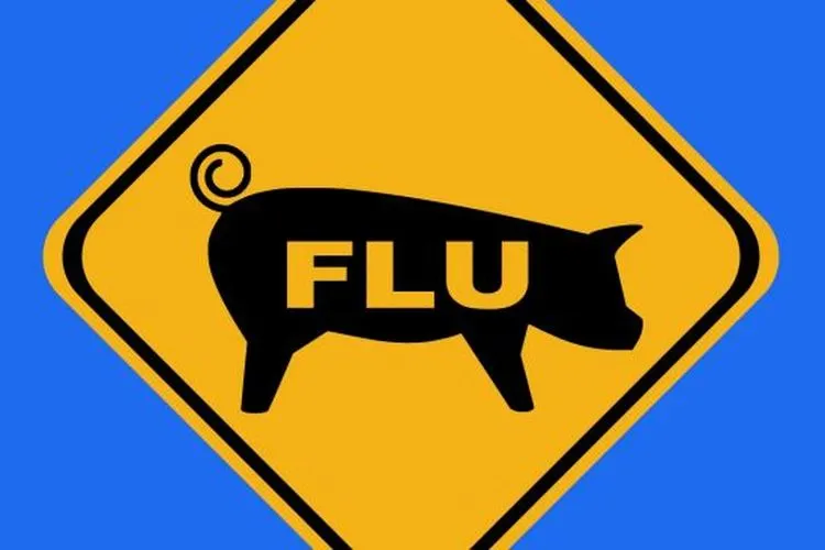 [Ilustrasi] Kemenkes waspadai flu babi G4 masuk ke Indonesia. (shutterstock)