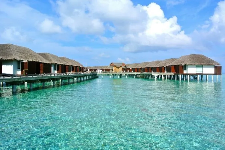 ilustrasi Maladewa.  Foto: Pixabay