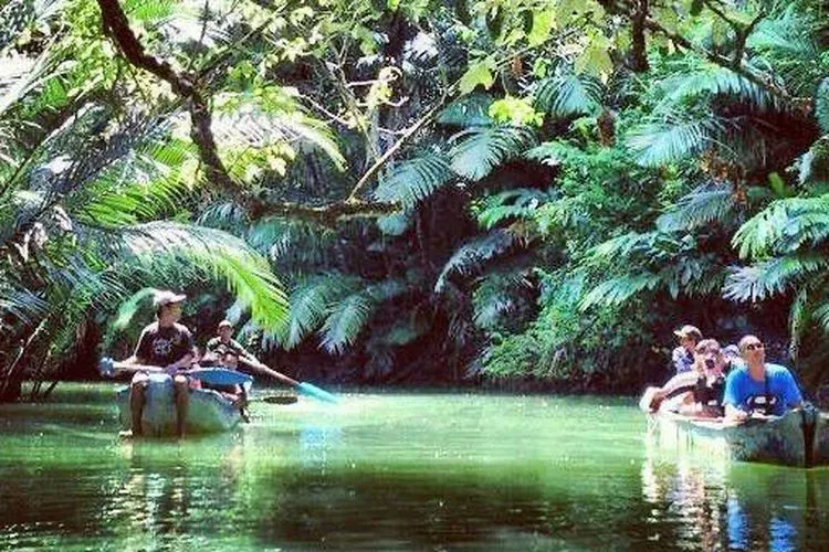Ilustasi wisata alam Indonesia