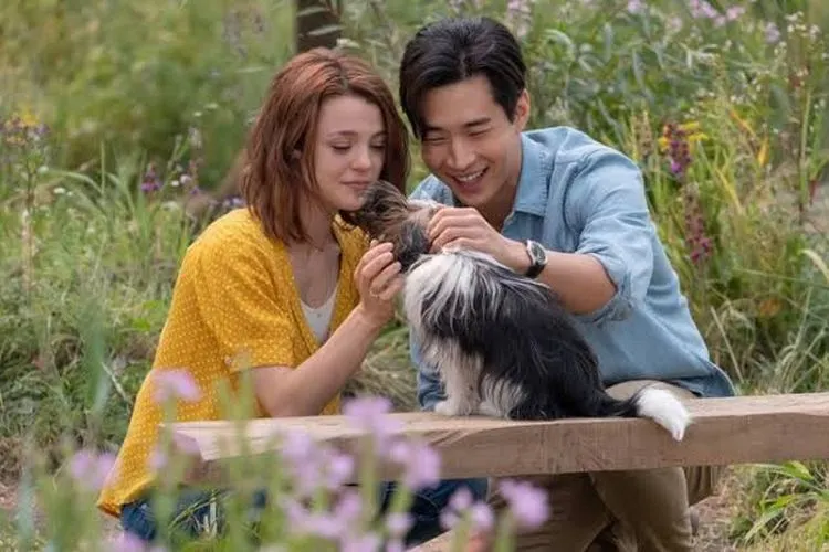 Cuplikan film A Dog’s Journey.