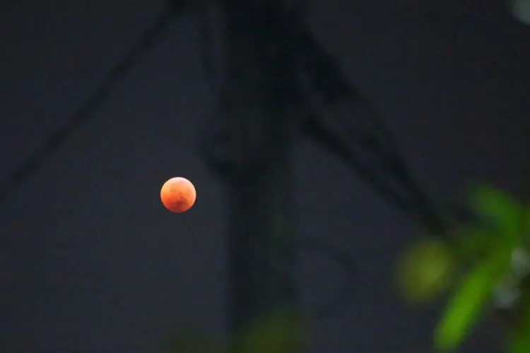 Gerhana bulan (Antara)
